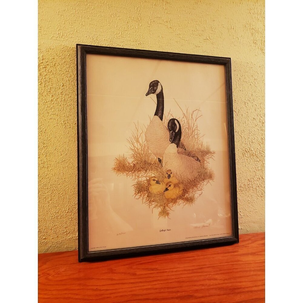 Canada Geese Art Print Chris Forrest Goslings Haven Ltd Edition 17x21 Farmhouse
